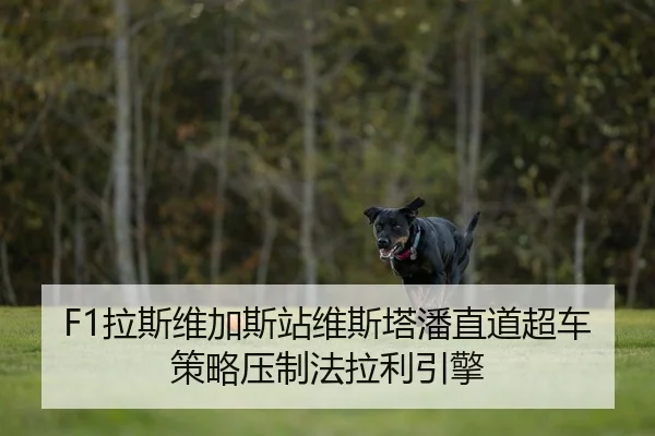 F1拉斯维加斯站维斯塔潘直道超车策略压制法拉利引擎